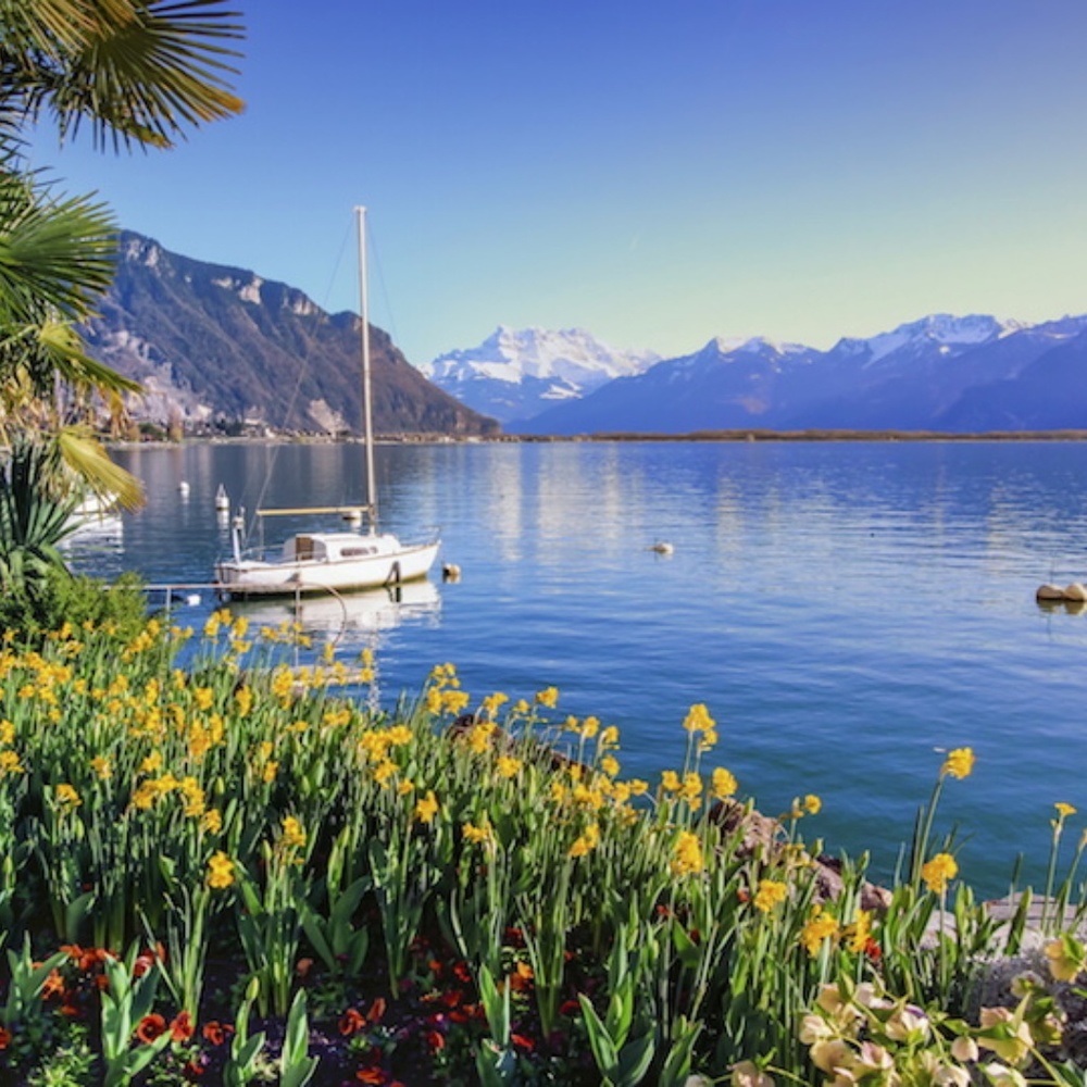 Meet your Posher, Kylie